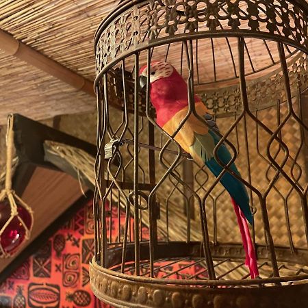 The Kondo Tiki 탬파 외부 사진